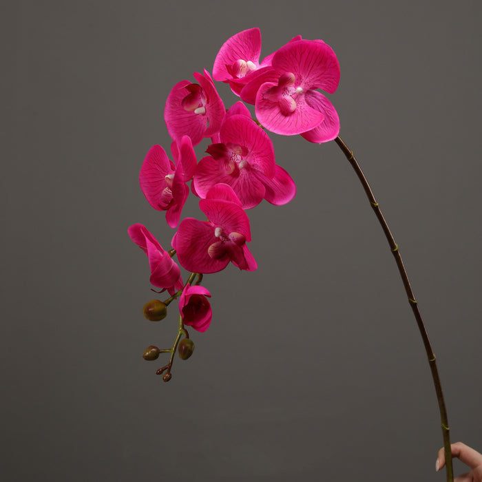 Bulk 39 inches Tall Deep Magenta Phalaenopsis Orchid Real Touch Stems  Fuchsia Orchids Wholesale