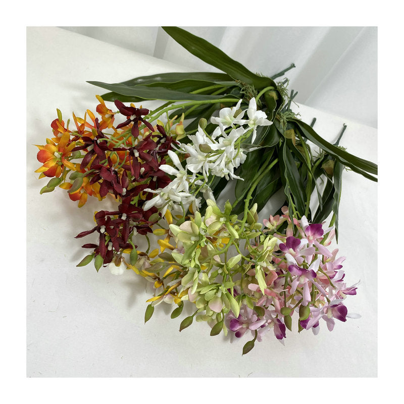 Bulk 18.9" Dendrobium Stems Plants Drop-In Plant Wholesale