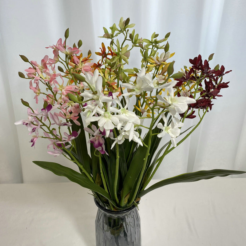 Bulk 18.9" Dendrobium Stems Plants Drop-In Plant Wholesale