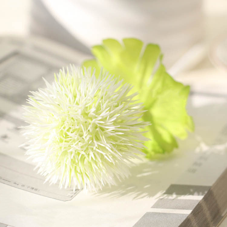 Tiges de fleurs en boule de Linn Dianthus Barbatus en vrac, toucher réel, vente en gros 