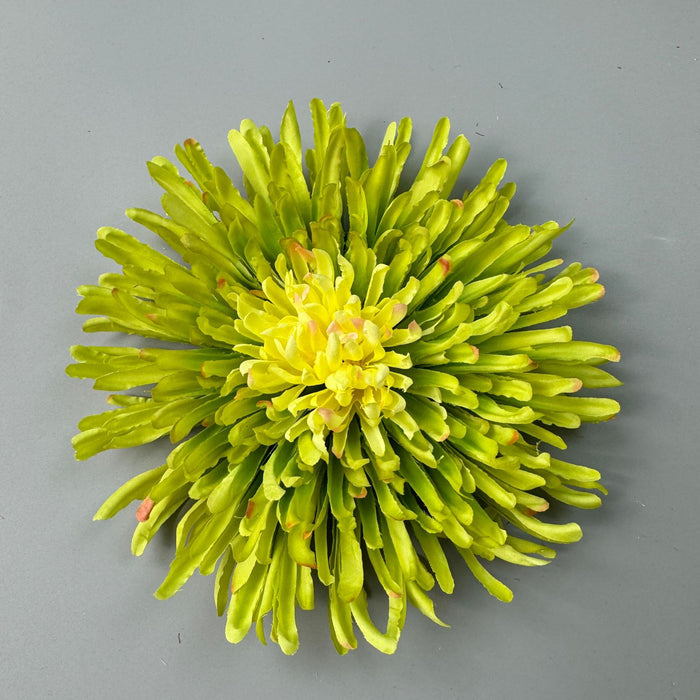 Bulk 50pcs 7" Dragon's Claw Chrysanthemum Flower Heads for Crafts Wholesale