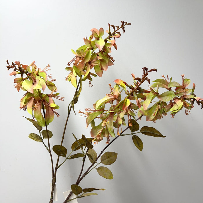 Bulk 24" Erythrina Stems Flowers Autumnal Color Floral Arrangements Wholesale