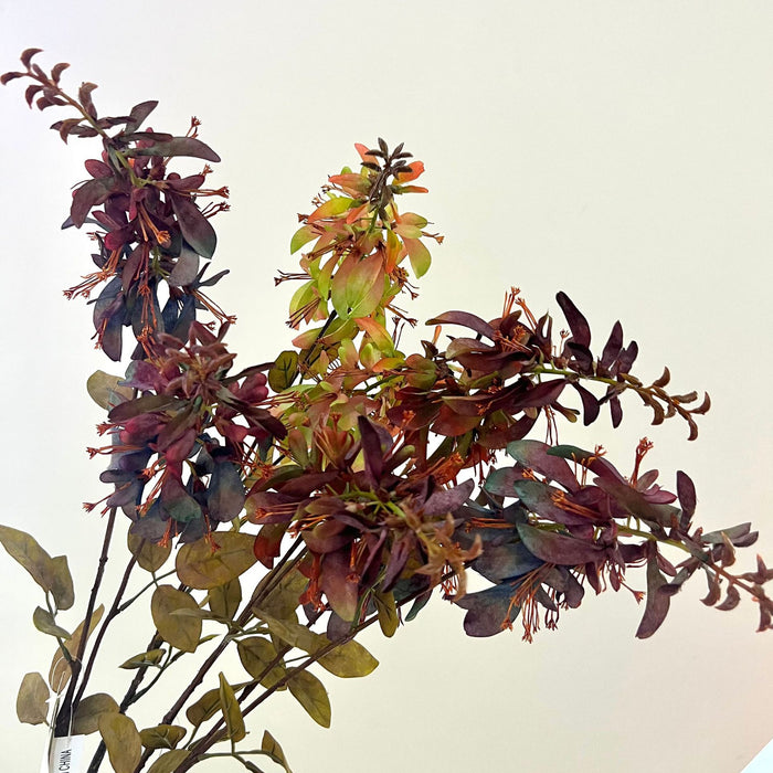 Bulk 24" Erythrina Stems Flowers Autumnal Color Floral Arrangements Wholesale