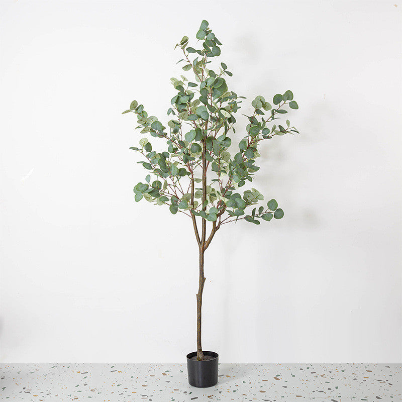 Bulk Eucalyptus Tree Plant Decor in Pot for Indoor Outdoor Wholesale