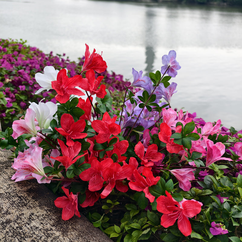 Bulk 2pcs Realistic Faux Azalea Hanging Flowers – UV Resistant & No Fade, Artificial Silk Blooms for Home, Garden, Balcony & Yard Wholesale