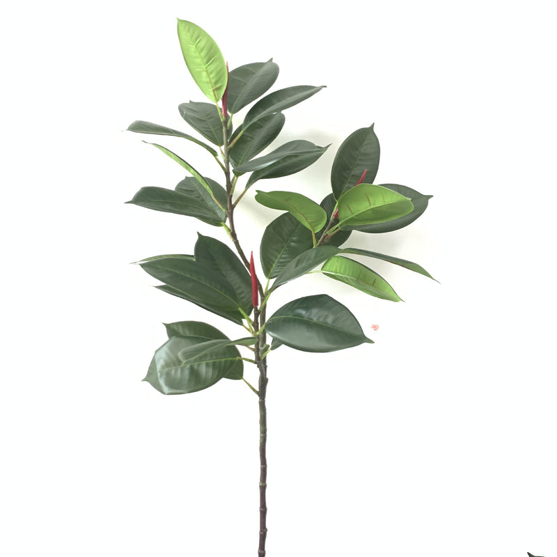 Lot de 10 branches de Ficus Elastica Robusta Moraceae, 42 pouces de haut, feuilles de prunier, plante verte, vente en gros