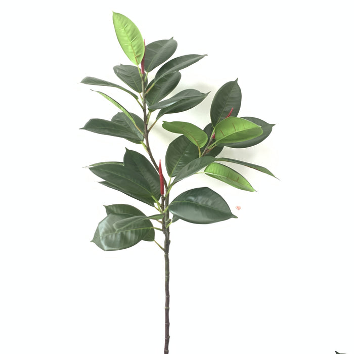 Bulk 10pcs 42" Extra Tall Ficus Elastica Robusta Moraceae Branch Plum Leaf Green Plant Wholesale