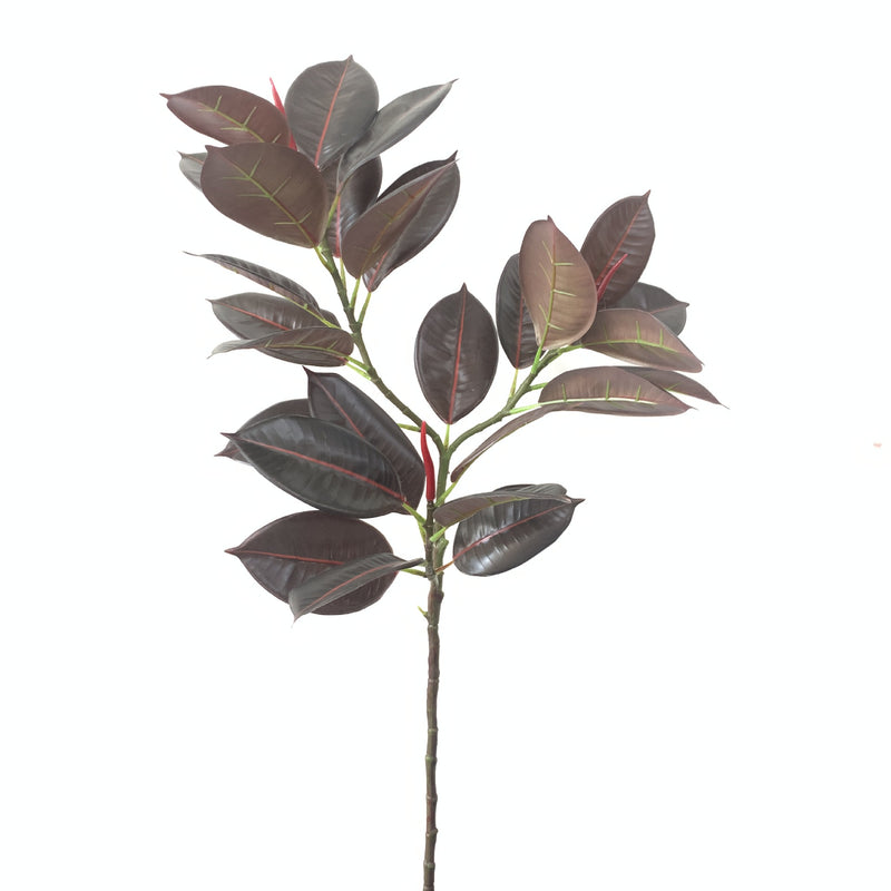 Lot de 10 branches de Ficus Elastica Robusta Moraceae, 42 pouces de haut, feuilles de prunier, plante verte, vente en gros