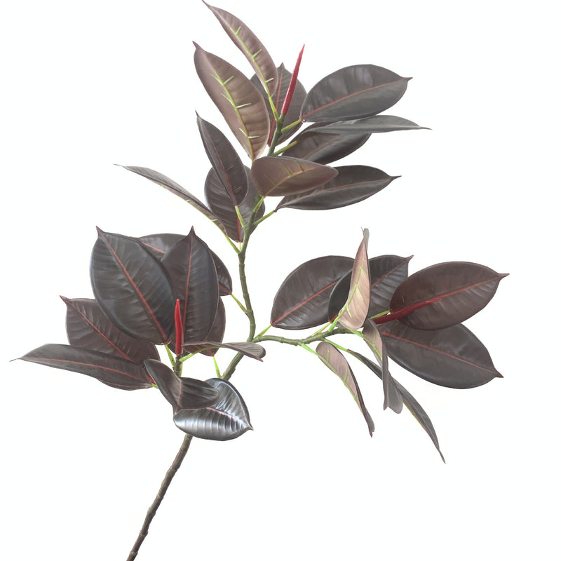 Lot de 10 branches de Ficus Elastica Robusta Moraceae, 42 pouces de haut, feuilles de prunier, plante verte, vente en gros