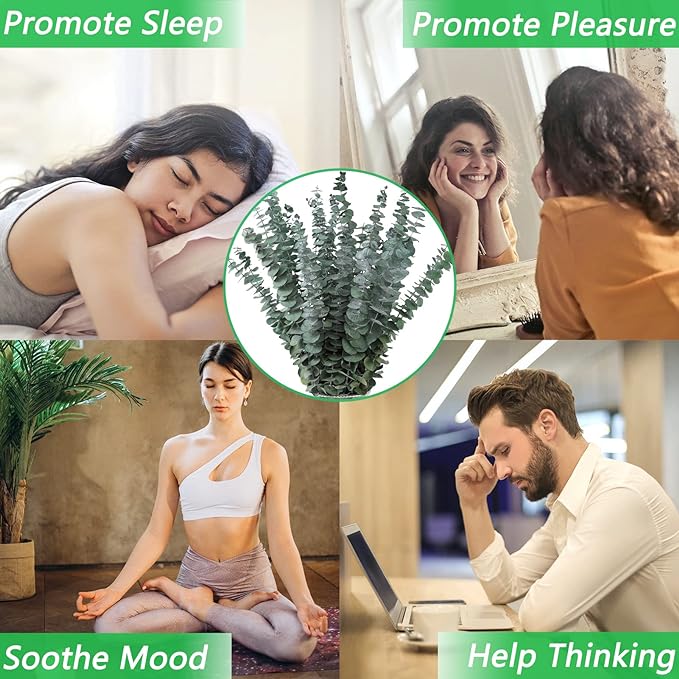 Bulk 15Pcs 17" Dried Preserved Eucalyptus Stems with Lavender Flowers Bundles for Shower Wholesale