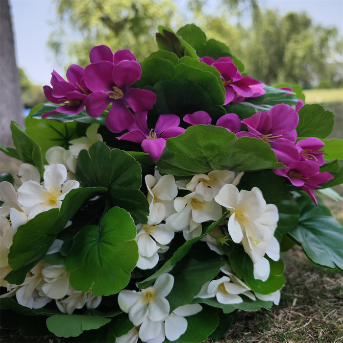 Bulk 8 Bundles Geranium Bush Flowers for Outdoors UV Resistant Shrubs Wholesale