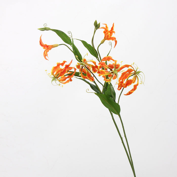 Bulk 29.5 inches Tall Gloriosa Lily Spray Stems Gloriosa Superba Flowers Wholesale