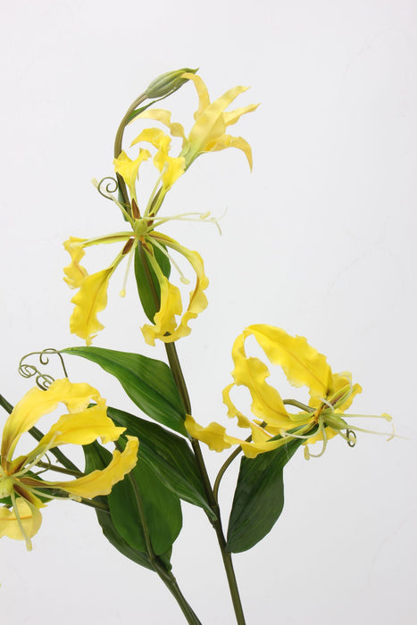 Bulk 29.5 inches Tall Gloriosa Lily Spray Stems Gloriosa Superba Flowers Wholesale