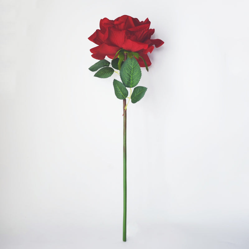 Bulk Gorgeous Large Headed Real Touch Velvet Rose Flowers with Stems Wholesale