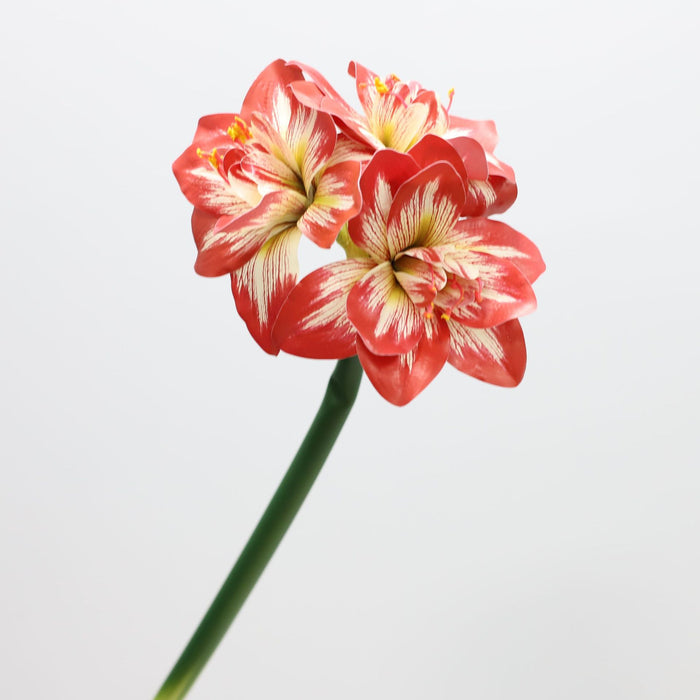 Premium Real Touch Amaryllis Stem Spring Flowers Wholesale