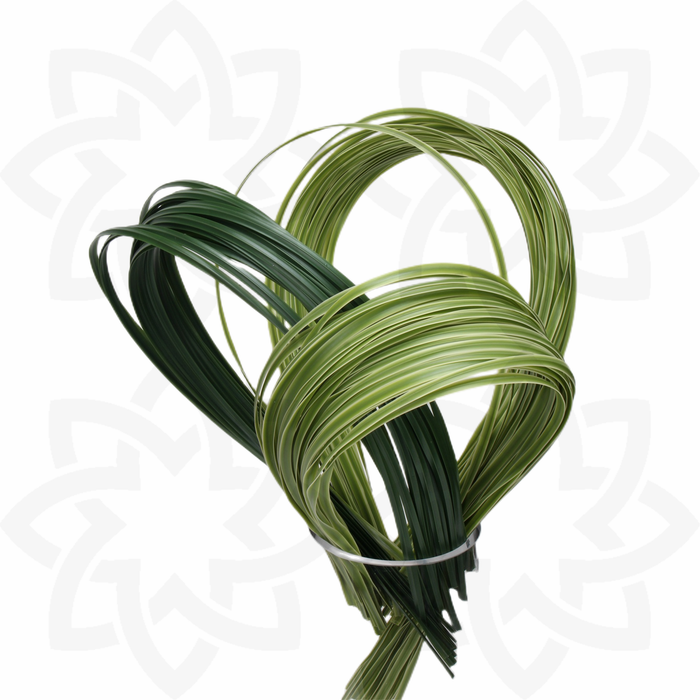 Bulk 12Pcs Artificial Grass Strings Lines for DIY Crafts Artificial Flower Arrangements Wholesale