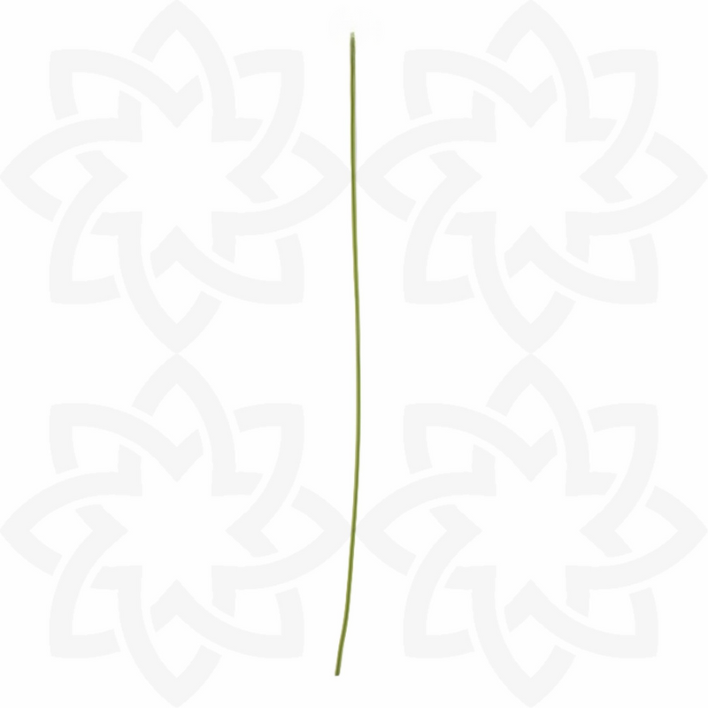 Bulk 12Pcs Artificial Grass Strings Lines for DIY Crafts Artificial Flower Arrangements Wholesale