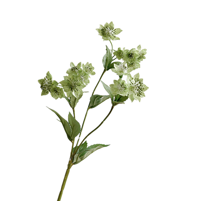 Bulk Great Masterwort Flowers Silk Artificial Thistle Flowers Wholesale