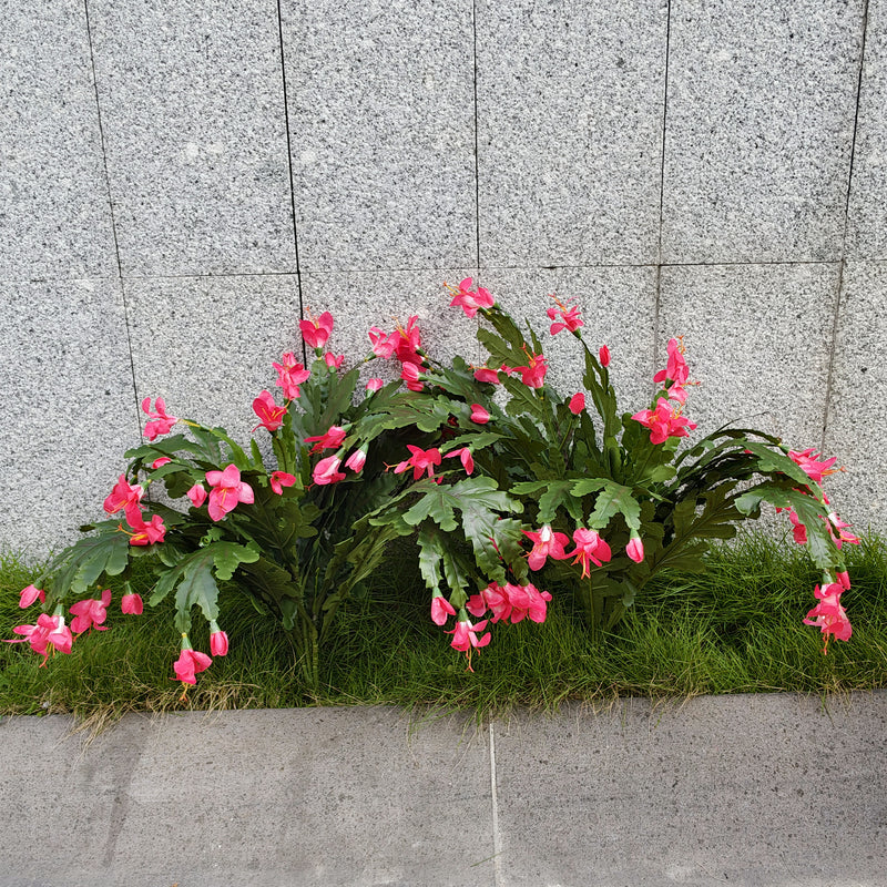 Bulk 21" Thanksgiving Cactus Christmas Cactus Plants for Outdoors UV Resistant Wholesale