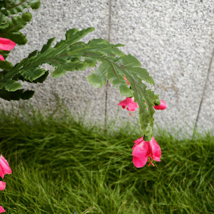 Bulk 21" Thanksgiving Cactus Christmas Cactus Plants for Outdoors UV Resistant Wholesale