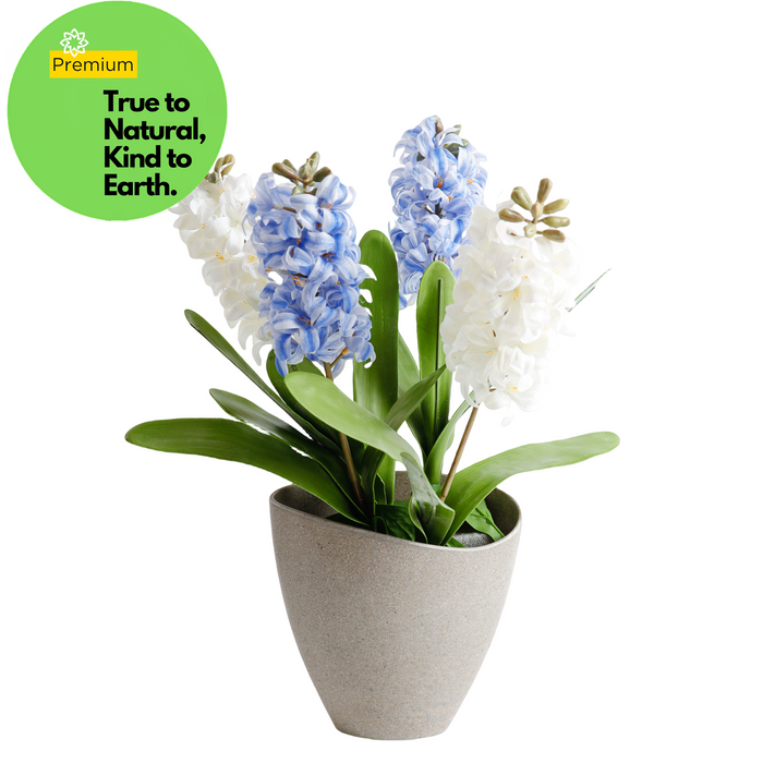 Premium Real Touch Hyacinth Stems Pick