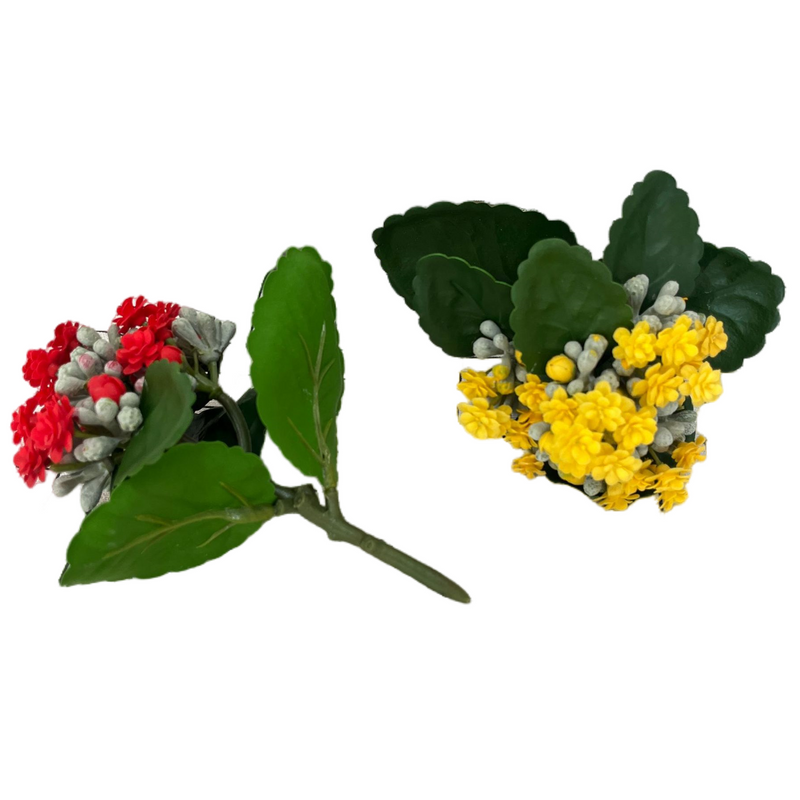 Bulk 6.6" Kalanchoe Stem Plants Drop-In Plant Wholesale