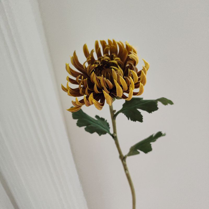 Chrysanthèmes à grosses têtes de 23,6 pouces de hauteur, tiges au toucher réel, fleurs d'automne et d'hiver en gros 