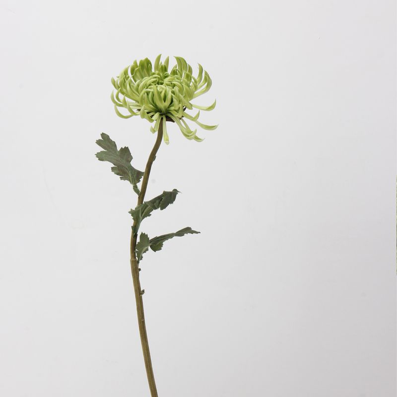 Chrysanthèmes à grosses têtes de 23,6 pouces de hauteur, tiges au toucher réel, fleurs d'automne et d'hiver en gros 