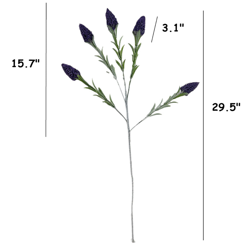 Lot de 5 tiges de sauge extra larges en vrac pour décoration de mariage 