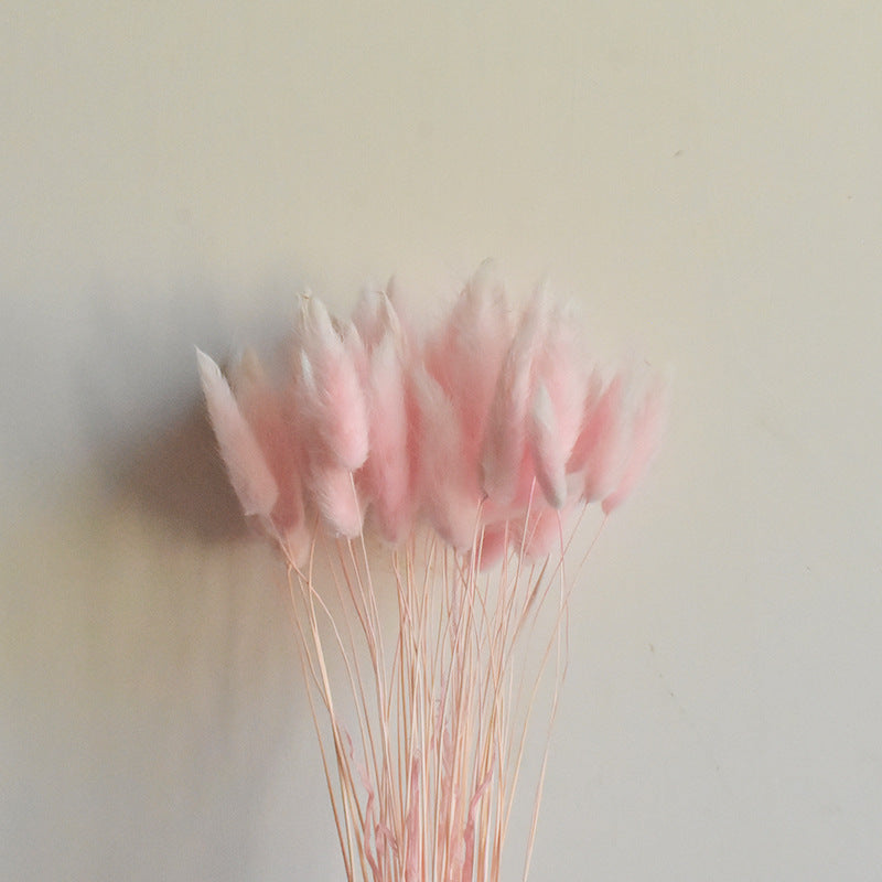 Lot de 50 queues de lapin naturelles séchées pour compositions florales, centres de table de mariage, décorations d'automne pour la maison, style bohème, baby shower, vente en gros