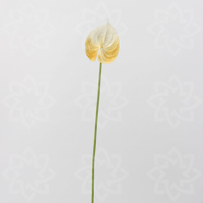 Bulk 23" Anthurium Tallos Real Touch Flores Artificiales Al Por Mayor 