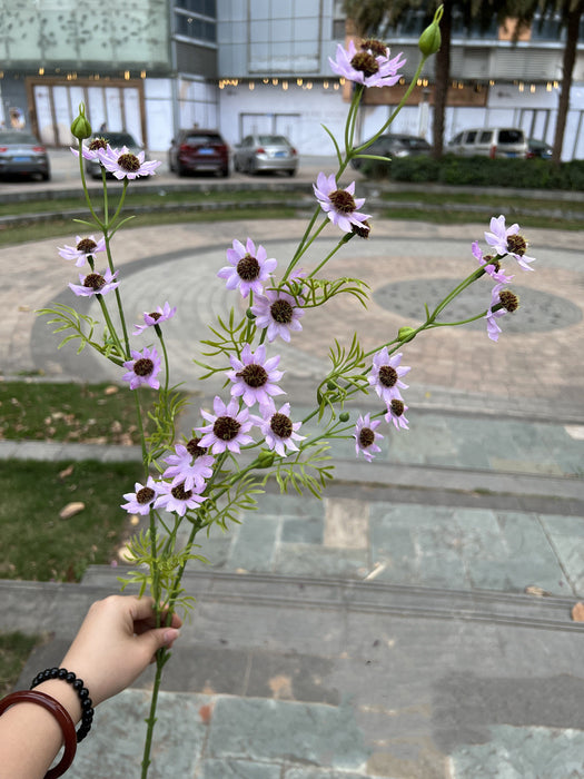 Bulk 10pcs 34" September Birth Flower Aster Spray Branches Bouquet Long Stems Artificial Silk Flowers Wholesale