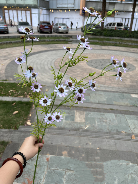 Bulk 10pcs 34" September Birth Flower Aster Spray Branches Bouquet Long Stems Artificial Silk Flowers Wholesale