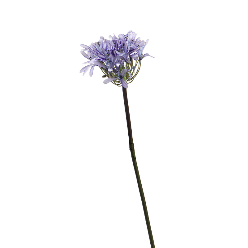 Bulk 25" Agapanthus Stems Lily of The Nile Live Plants Flowers Silk Artificial Wholesale