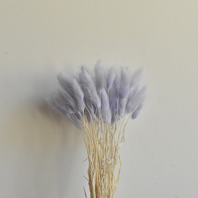 Lot de 50 queues de lapin naturelles séchées pour compositions florales, centres de table de mariage, décorations d'automne pour la maison, style bohème, baby shower, vente en gros