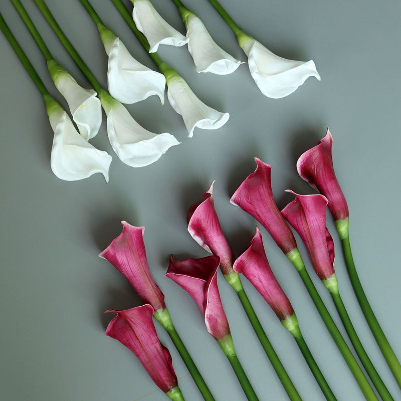 Lot de 10 tiges de lys calla extra longues de 65 cm pour bouquet de fleurs au toucher réaliste, vente en gros 