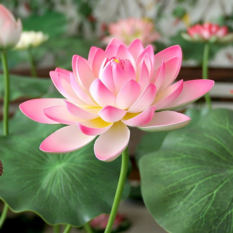 Tiges de lotus extra larges de 35 pouces en vrac, fleurs artificielles au toucher réaliste, vente en gros