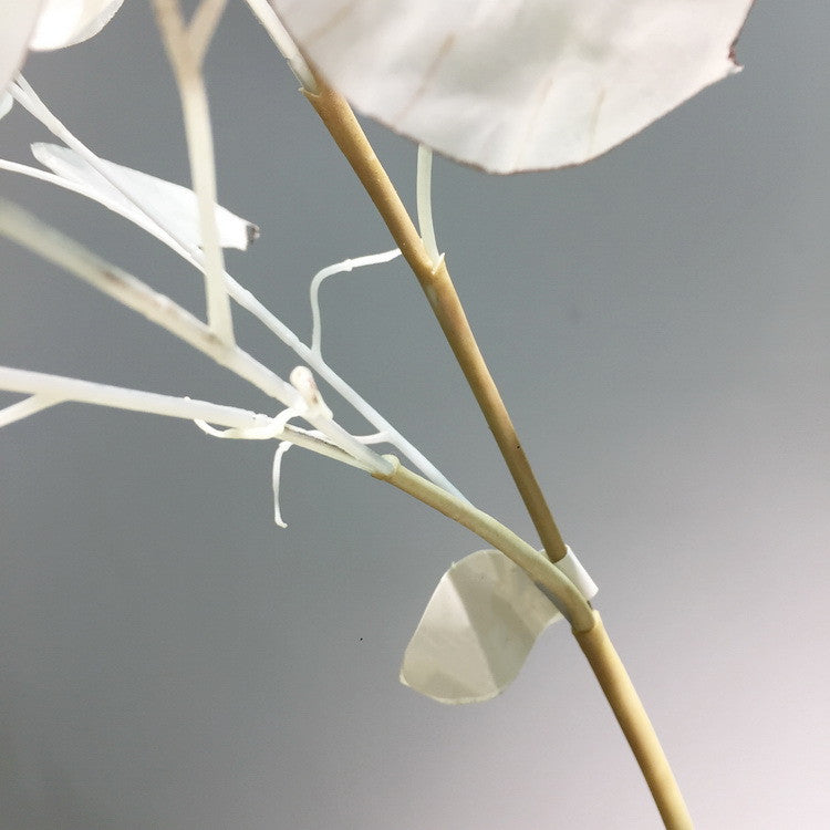Tiges et branches de Lunaria Wabi-Sabi en vrac de 35 pouces, feuilles blanches et orange brûlées, plantes en gros