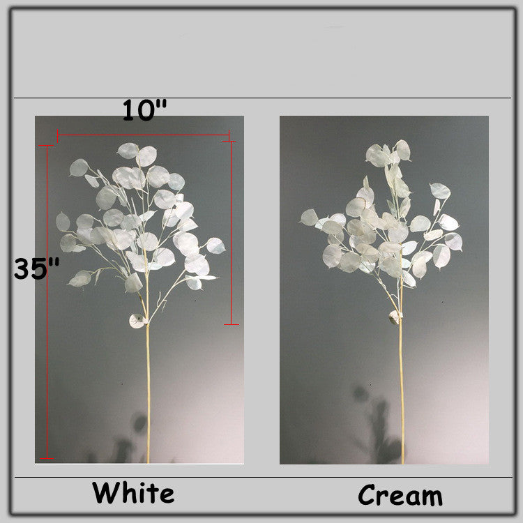 Tiges et branches de Lunaria Wabi-Sabi en vrac de 35 pouces, feuilles blanches et orange brûlées, plantes en gros
