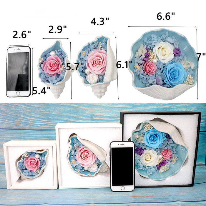 Bulk 6Pcs Luxury Valentines Gifts for Her Preserved Floral in Conch with Necklace and Earrings Wholesale