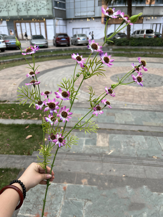 Bulk 10pcs 34" September Birth Flower Aster Spray Branches Bouquet Long Stems Artificial Silk Flowers Wholesale