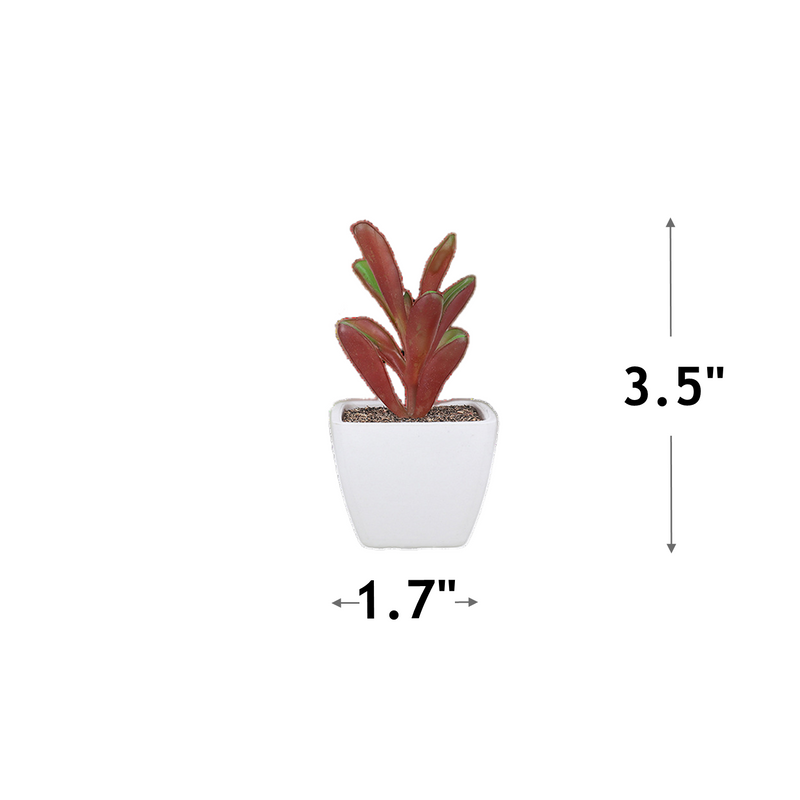 Lot de 6 mini plantes succulentes artificielles en plastique en pot pour décoration de table de bureau à domicile