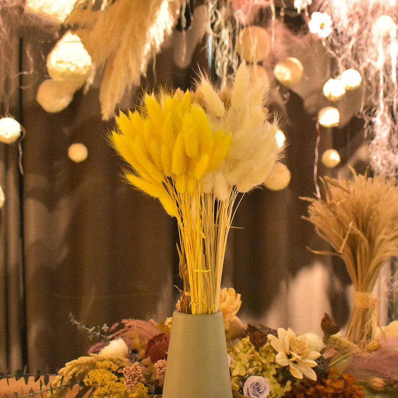 Lot de 50 queues de lapin naturelles séchées pour compositions florales, centres de table de mariage, décorations d'automne pour la maison, style bohème, baby shower, vente en gros