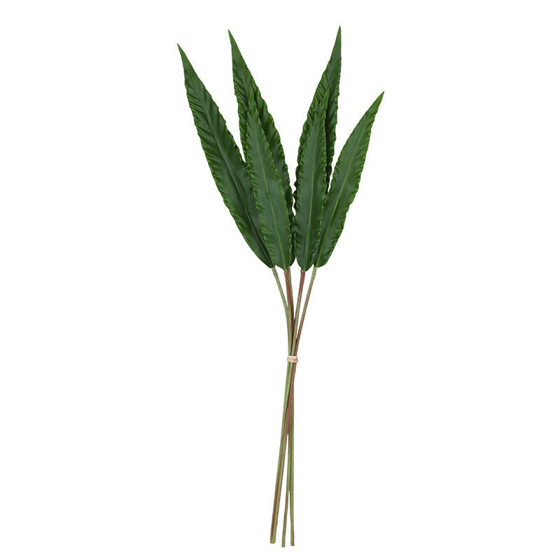 Bulk 6pcs 30" Neottopteris Nidus Leaves Stems Real Touch Tropical Leaves Decorations Wholesale