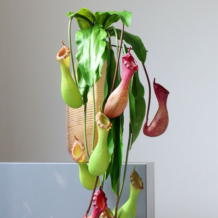 Bull 2Pcs Exclusive Pitcher Plant Nepenthes Stems Real Touch Tropical Artificial Plants Wholesale