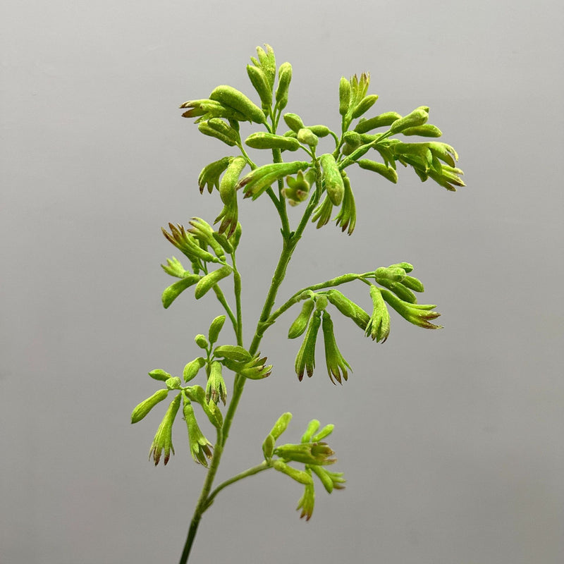 Artificial Kangaroo Paw Bush, Faux Greenery Stem for Vase, Nordic Home Decor, Wedding & Event Floral Arrangements