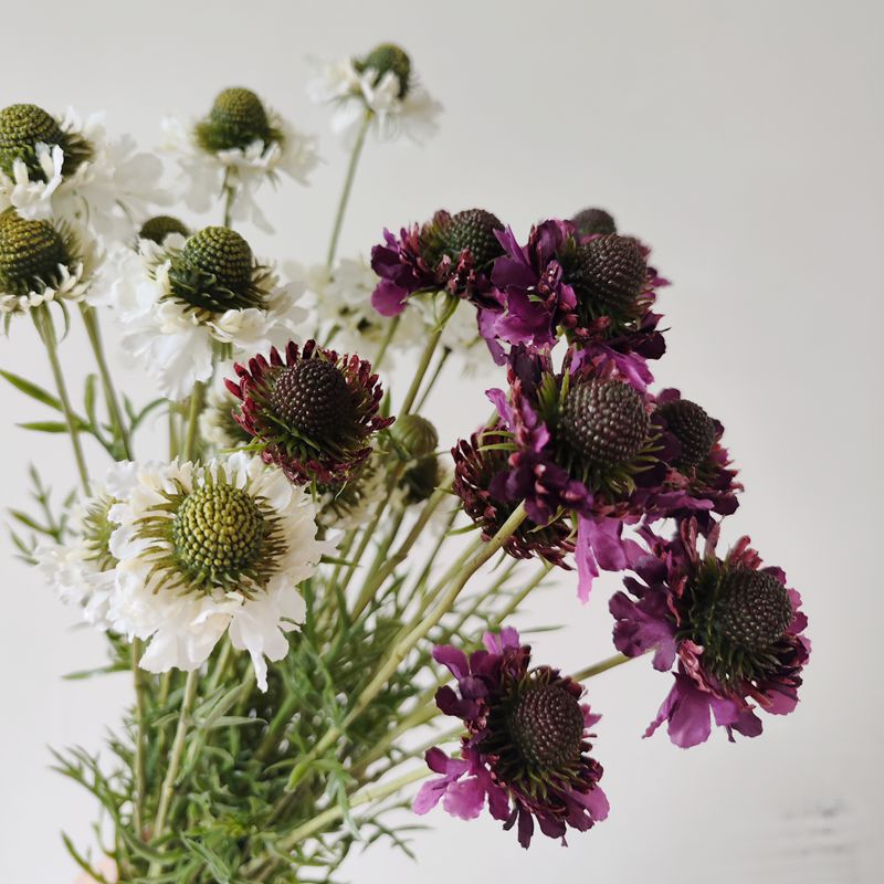 Artificial Daisy & Orchid Bush with 5 Blooms, 29" Silk-Like Faux Flowers for Home Decor, Wedding Centerpieces, Office Arrangements