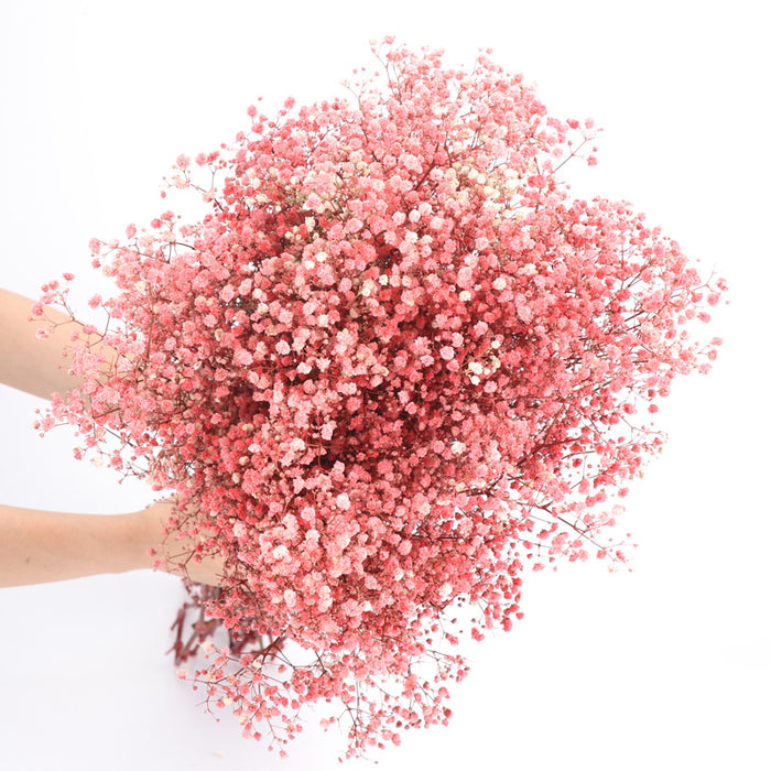 A granel 1 paquete de flores gitanas de aliento de bebé seco para arreglo Floral de boda decoración de fiesta en casa al por mayor