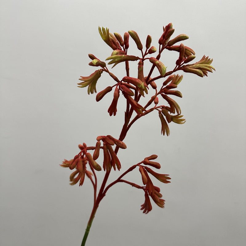 Artificial Kangaroo Paw Bush, Faux Greenery Stem for Vase, Nordic Home Decor, Wedding & Event Floral Arrangements