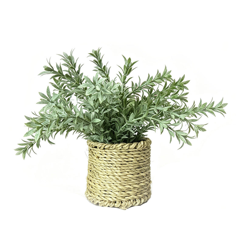 Artificial Frosted Pampas Grass in Woven Pot, Faux Potted Plant for Home, Office & Outdoor Display